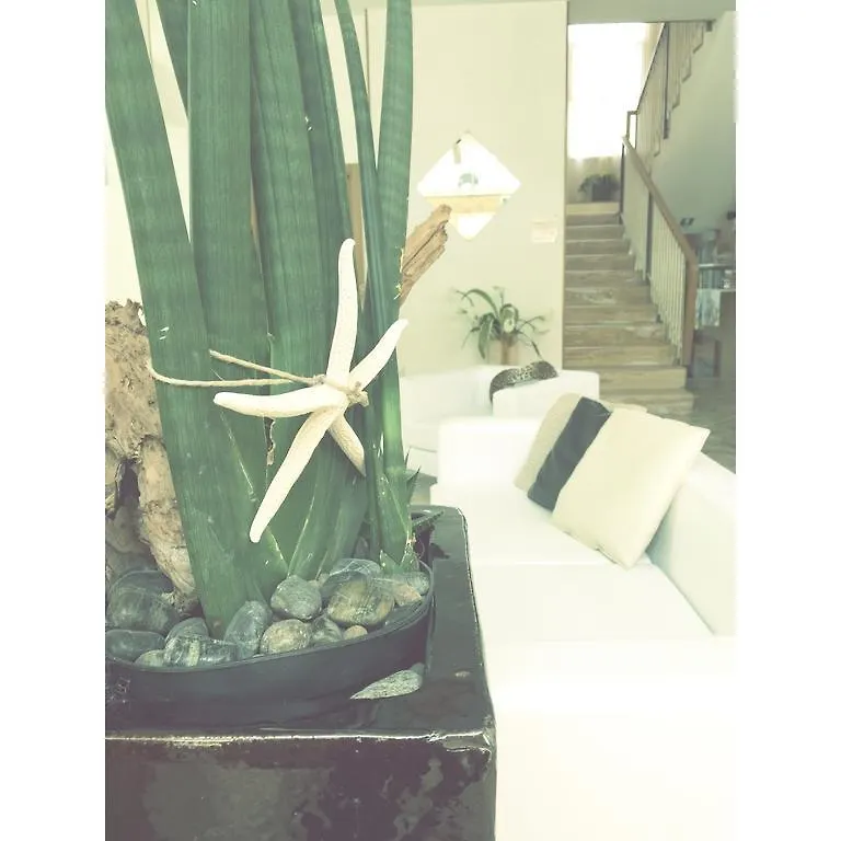 Hotel Solemare Cesenatico
